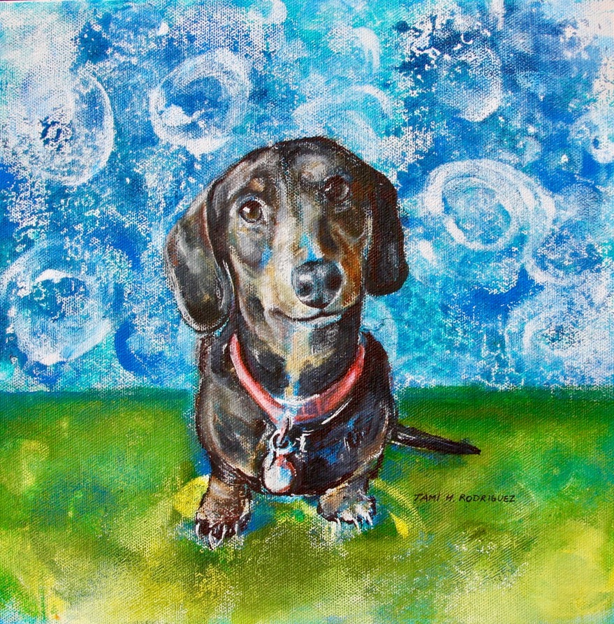 Hello Daschund